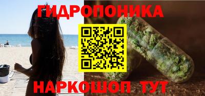 индика Пушкино