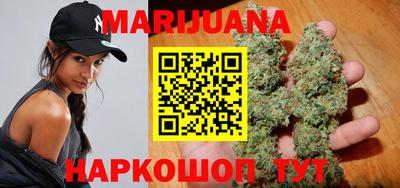 индика Рыбинск